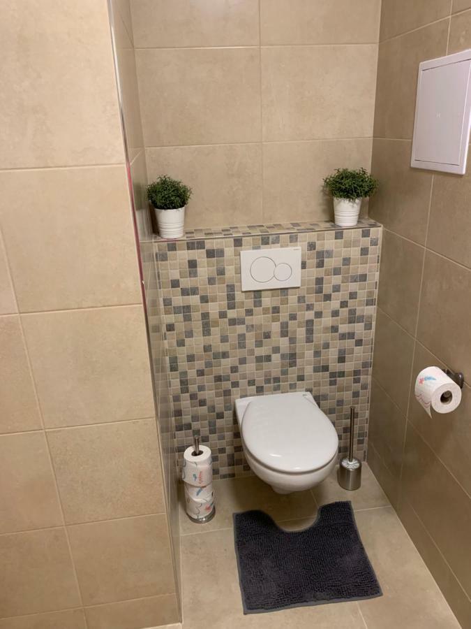 Apartman Denisa ليبنو ناد فلتافو المظهر الخارجي الصورة